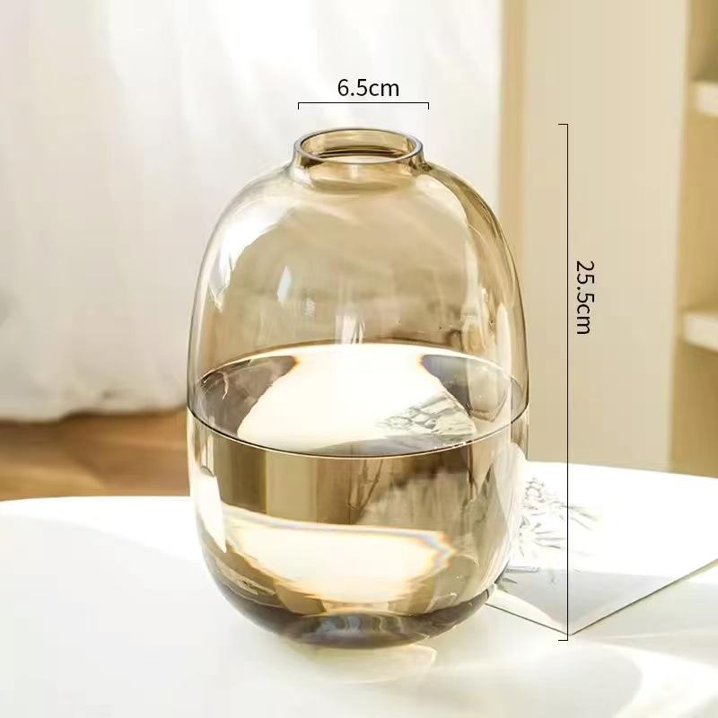 Minimalist Large Belly Glass Joy Vase for Hydroponic and Indoor Green Plants, Japanese Style