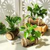 Decorațiuni pentru casă – Flori decorative şi coroane de flori