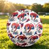 Serbia Printed Size 5 Soccer Ball Wear Resistant Standard Adult Training Football Fan Gift for Indoor Outdoor Match Sports