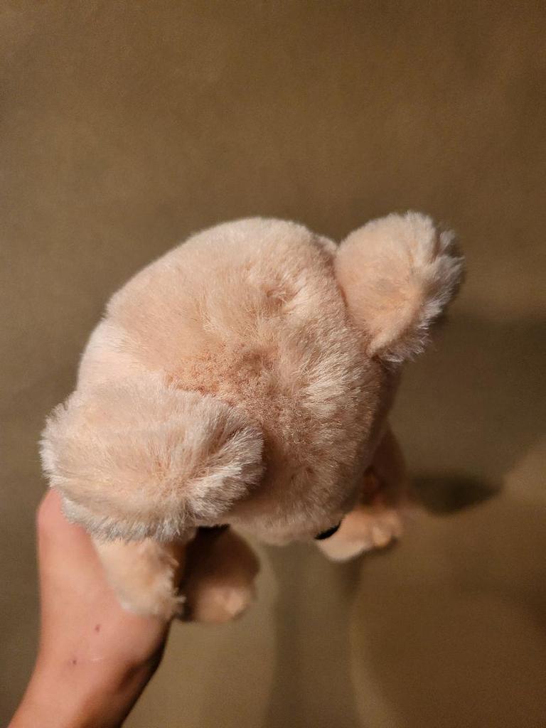 [USED] Teddy Bear Stuffed Toy Bear Vintage