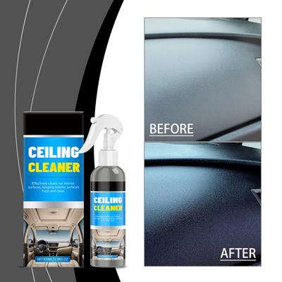 Car Interior Cleaner; Car Foam Cleaner; Car Dirt Cleaner; Fully Applicable To A Variety Of Interiors, Including Carpets And Seats(100ML)