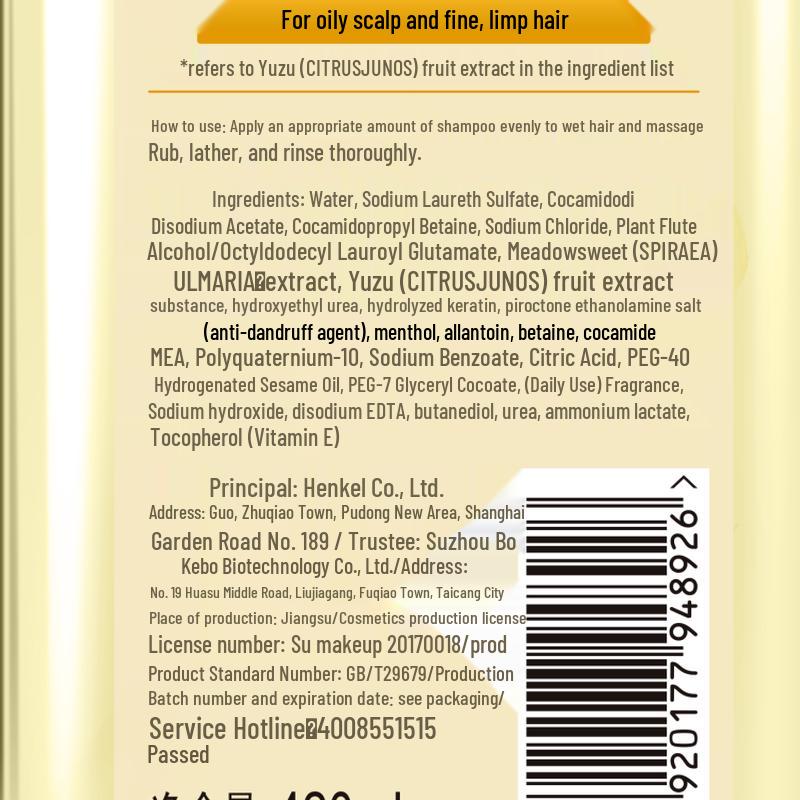 Syoss Oil Control Volumizing Shampoo