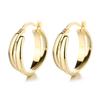 Elegant French Zircon Earrings for Women, Trendy Geometric Ear Cuffs, Light Luxury Jewelry, European-American Style