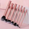 10ks Mini sada štětců na make-up Powder Eyeshadow Foundation Blush Blender Concealer Beauty Makeup Tools Štětec Profesionální potřeby