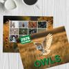 Owl Wall Calendar 2026 Featuring Diverse Owl Patterns Annual Monthly Planning Calendar Interesting Gift For Home Or Office Use