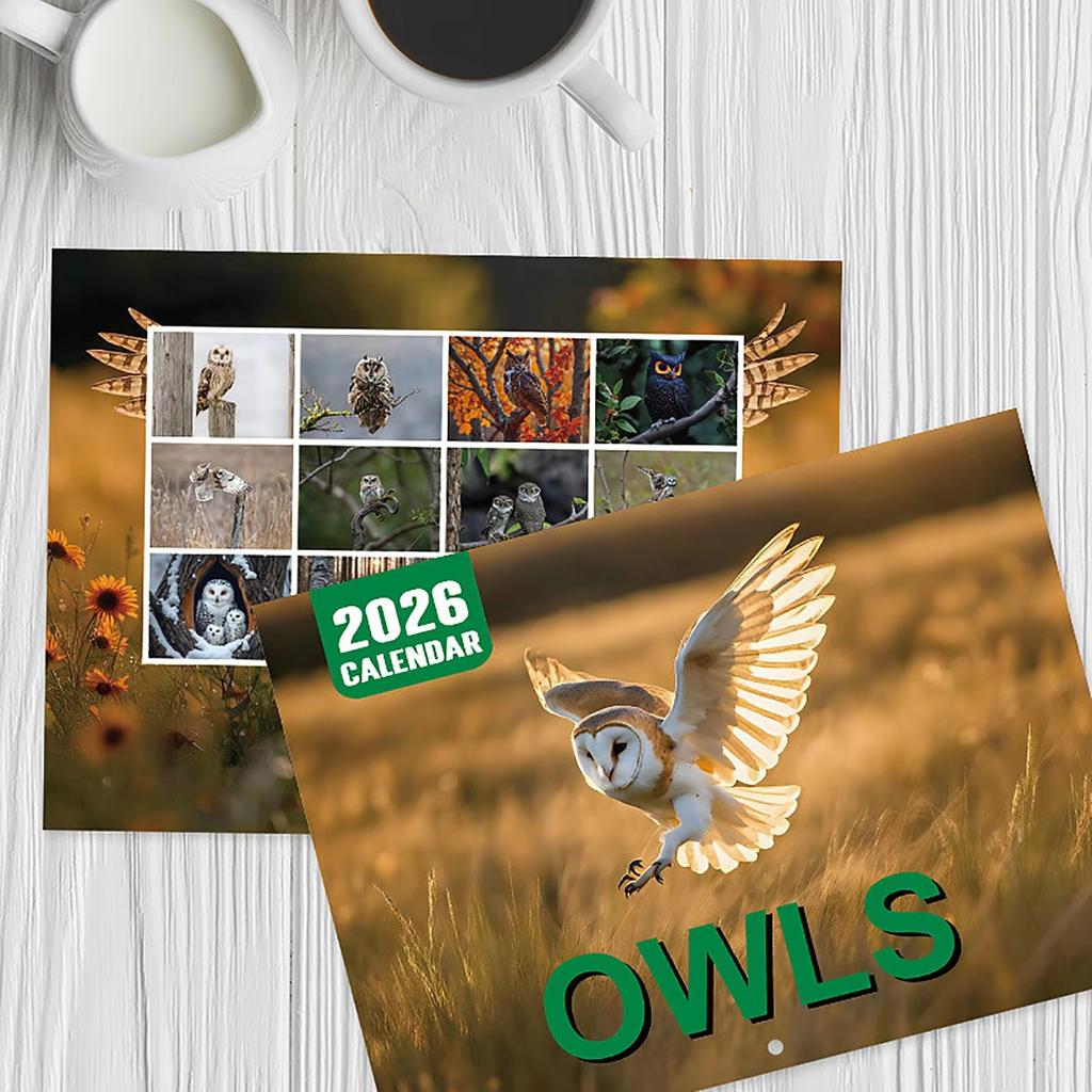 Owl Wall Calendar 2026 Featuring Diverse Owl Patterns Annual Monthly Planning Calendar Interesting Gift For Home Or Office Use