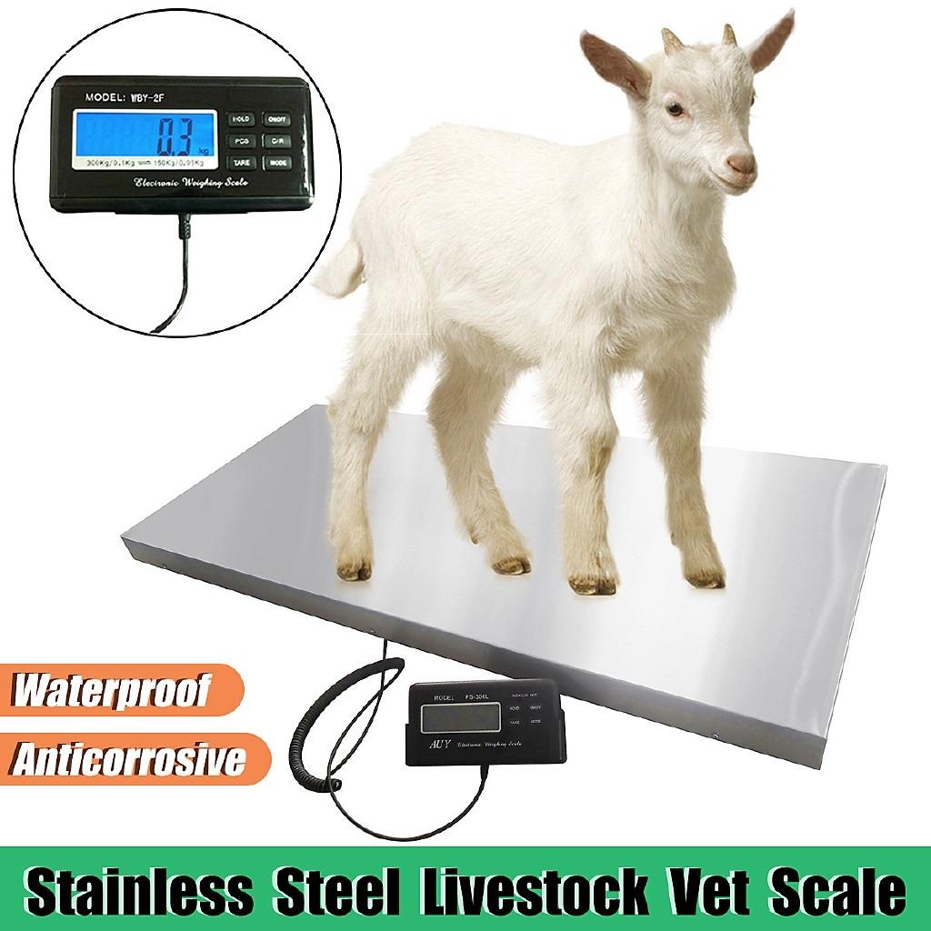 Animal/Parcel Platform Scale Heavy Electronic Balance Floor Bench Weighting Scale Commercial Digital Display Scales