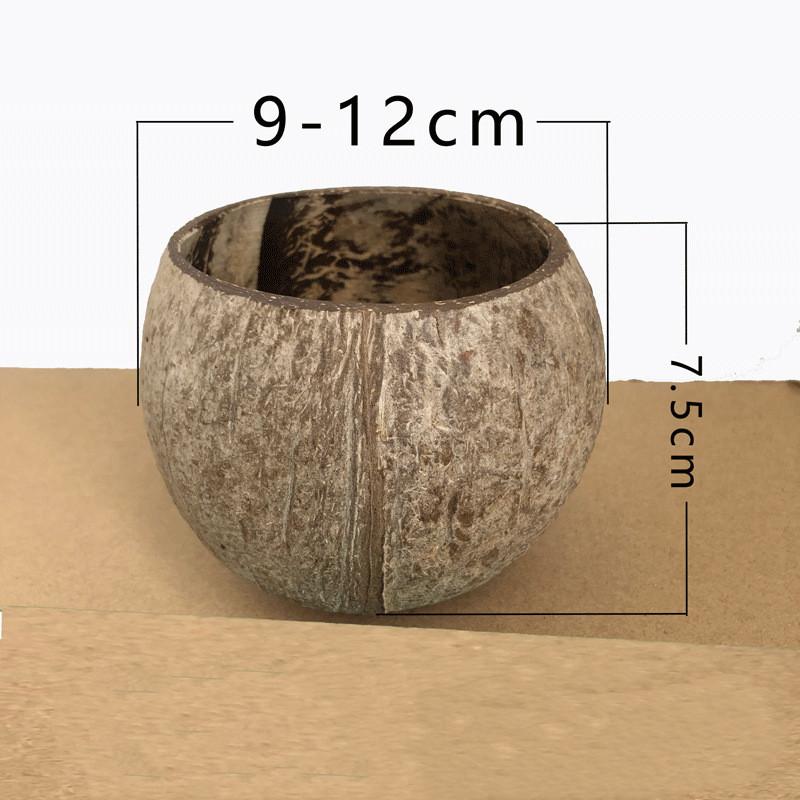 Coconut Shell, Restaurant Candle Cup, Creative Ornament, Candle Holder, No Candle, Household Decoration, Table Candlestick