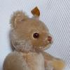 [USED] Steiff Teddy Bear with Yellow Tag
