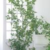Luxurious Staircase Decor: Bionic Green Rose Vines & Leaves