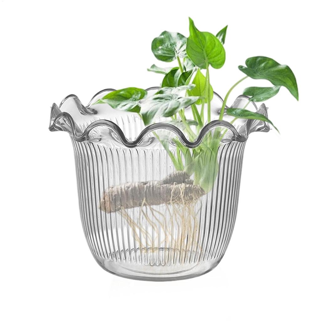 Decorative Vases for Home Decor Water Plant Vase Hydroponic Planter PET Vase transparent Water Plant Vase Hydroponic Planter