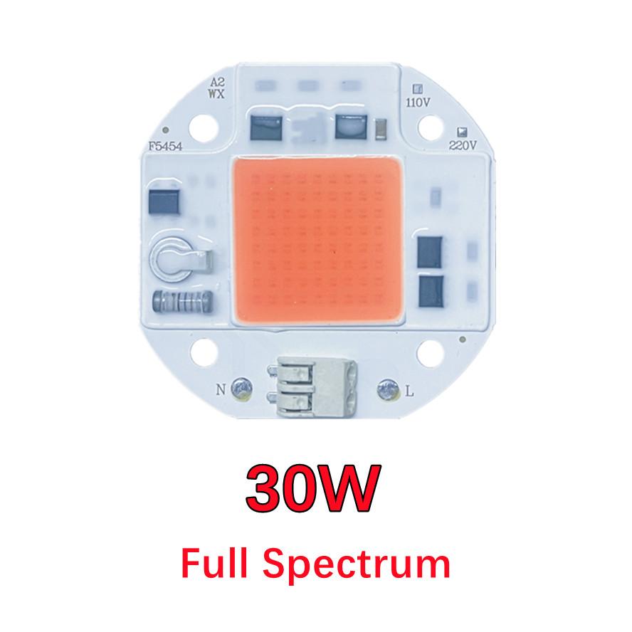 RnnTuu 110V 220V LED Chip 20W 30W 50W COB Chip Kein Treiber erforderlich LED Lampenperlen für Flutlicht Scheinwerfer Lampada DIY Beleuchtung