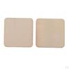 100 Pieces Unfinished Wood Blank