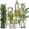 60-120CM Bendable Moss Pole for Plants Coconut Palm Fiber Monstera Plant Support Handmade Coco Climbing DIY Garden Accessories