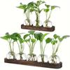 Transparent Glass Vase with Wooden Base for Hydroponic Plants and Flowers - Ideal for Office or Living Room Decoration