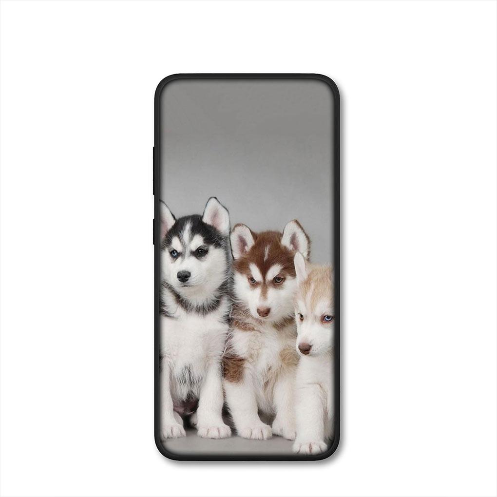 Bella Copertina per Telefono Divertente con Cane Husky per Samsung Galaxy S25 Pro S23 S22 S24 FE Ultra S10 Plus A05 A06 A15 A16 A26 A35 A36 Custodia