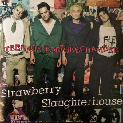 CD STRAWBERRY SLAUGHTERHOUSE - Teenage Torturechamber STRAW00001 EMI-Medley 1994 Dänemark Rock Gebraucht