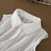 Women's Iron-Free Peter Pan Lace Hollow-Out False Collar for Autumn/Winter Sweaters