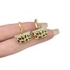 New Stylish Zircon Bag Ear Cuffs: Women's Fashion, Light Luxury, High-End, Versatile, and Trendy Earrings.