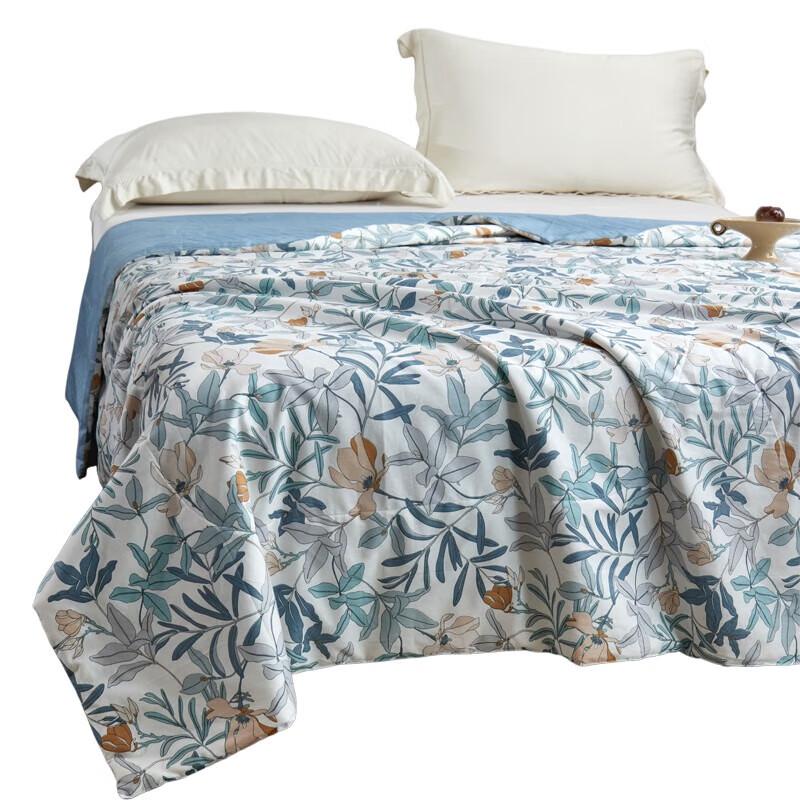 

Taihu Snow Tussah Silk All-Season Quilt