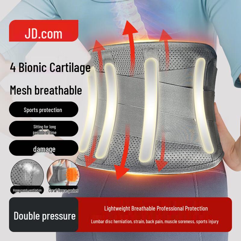 JD Sports & Fitness Lumbar Support Waist Belt