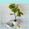 Silkprinted Artificial Fiddle Leaf Fig Tree With White Border For House Ornament And Event Use