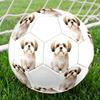 Cute Puppy Indoor Size 5 Soccer Ball Colorful Machine Stitched PVC Competition Ready Durable High-Bounce