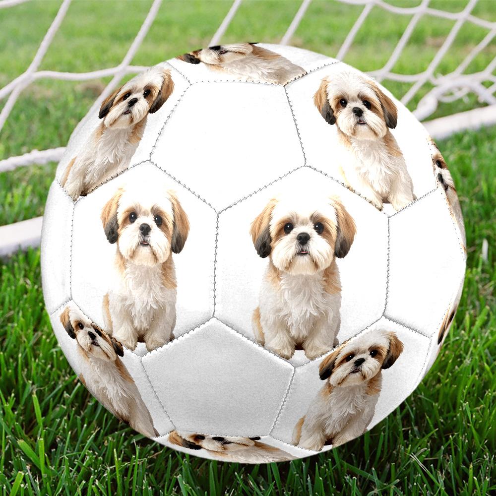 Cute Puppy Indoor Size 5 Soccer Ball Colorful Machine Stitched PVC Competition Ready Durable High-Bounce