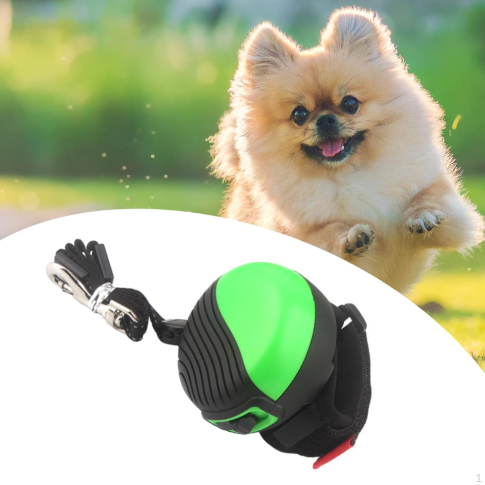

Durable Dog Leash with Comfortable Grip for Active Pets зелений