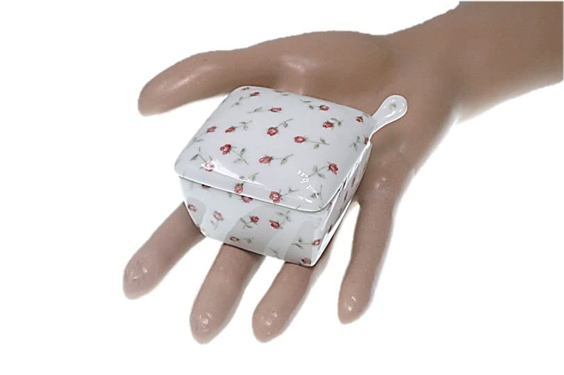 Rose Garden Condiment Made In with Condiment Container with Commercial ACS WEB Mino Ware Container, Japan, Ceramic, Spoon, Ichimi, Salt, Sansho,