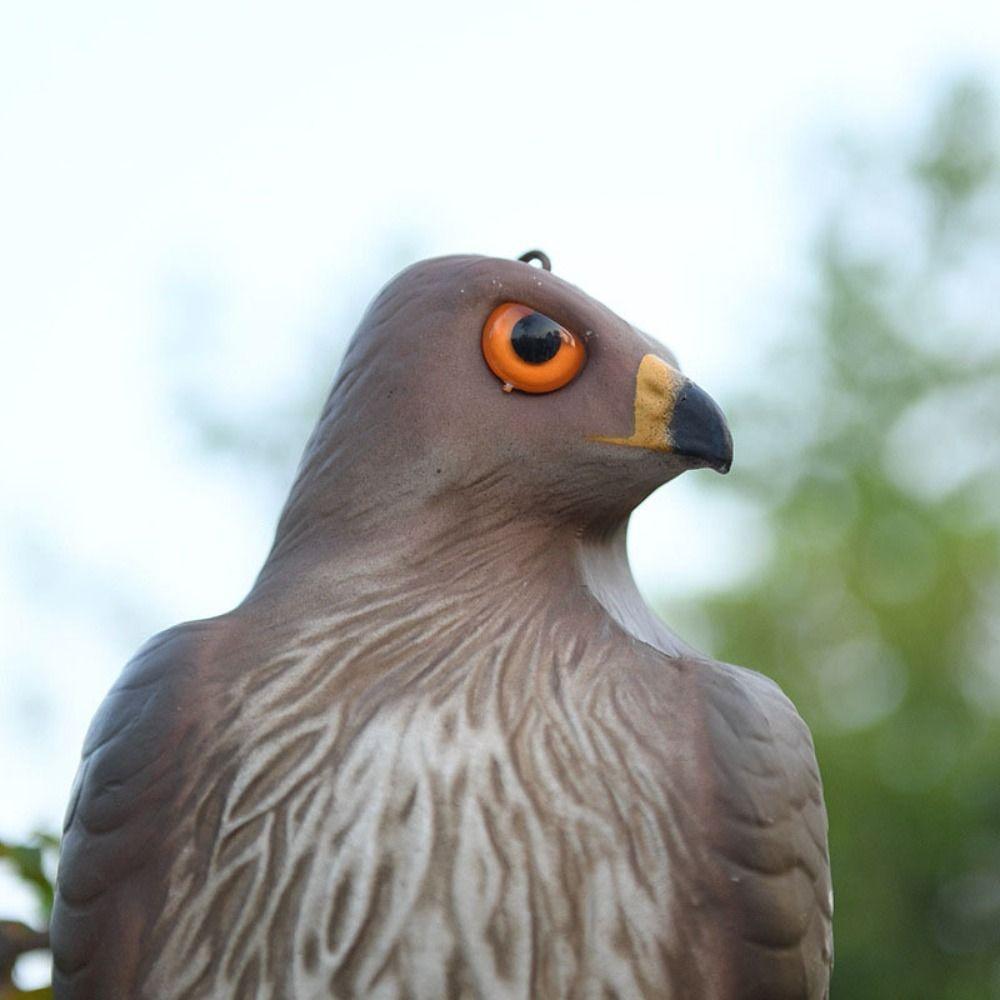 Scare Birds Away Eagle Decoy Plastic Pest Control Simulated Bird Deterrent  Outdoor Patio Yard