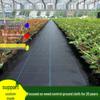 Durable Weed Mat for Ground Cover and Chinese Medicine Planting