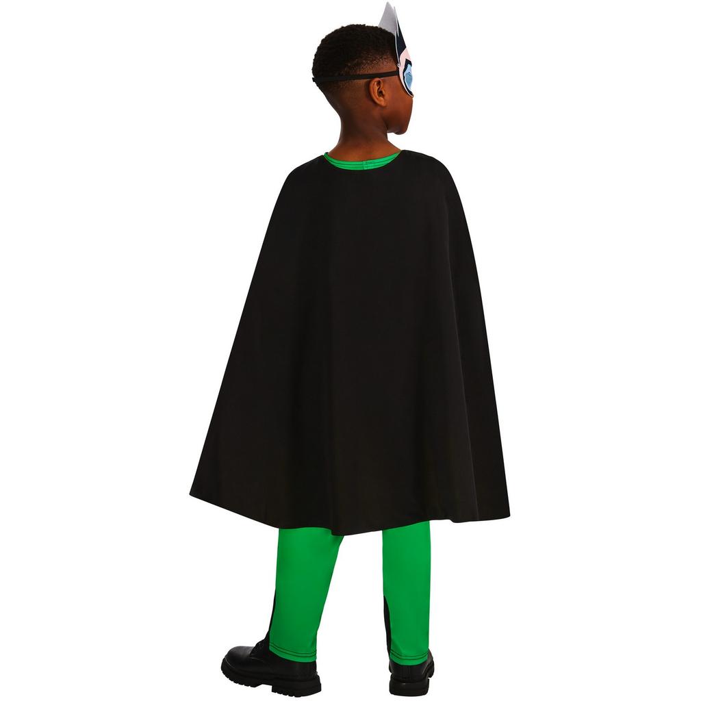 Teen Titans Go Childrens/Kids Robin Costume