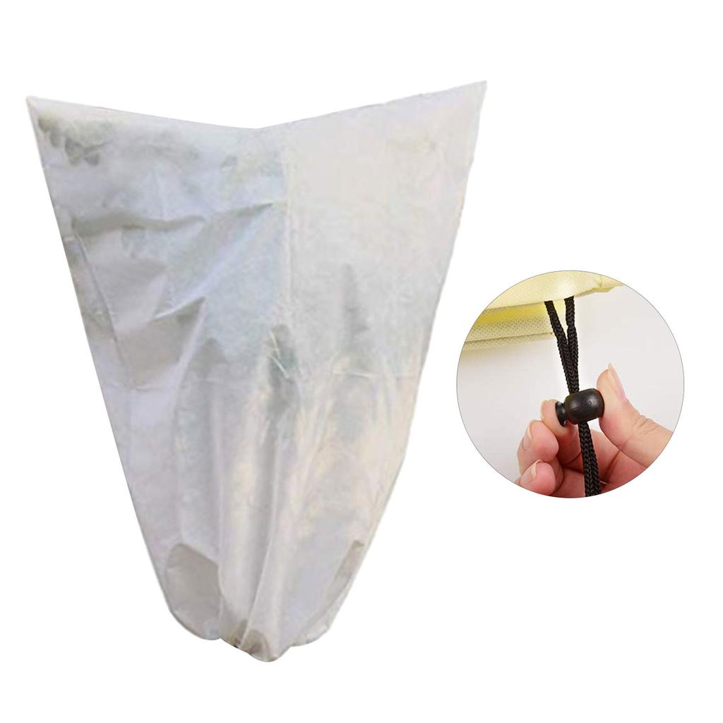 large garden ensacarks