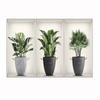 DIY Mural Art Livingroom Bedroom 3D Decal Greenery Bonsai Wall Stickers Creative Plants Potted