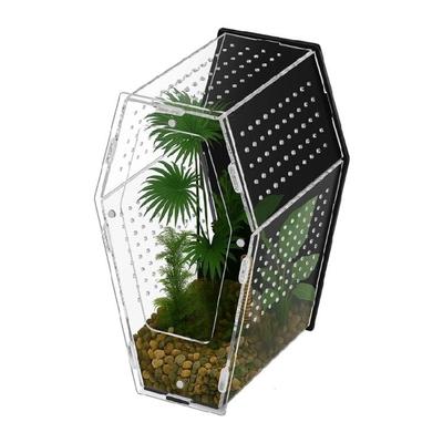 Acrylic Miniature Pet Terrarium For Jumping Spiders Hermits Mantis Practical Jumping Spiders Enclosure