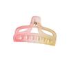 Gradient Color Frosted Large Size Hair Clip with A Lot of Volume Shark Clip Hair Clip Hair Accessories