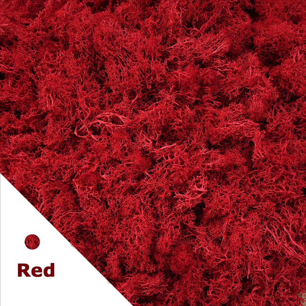 500g/1000g Mini Landscape Moss Grass Eternal Life Fake Grass Artificial Green Plants Home Garden Decoration DIY Crafts