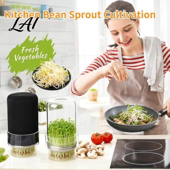 Organic Sprout Grower Sprouting Jar Kit Wide Mouth Glass with Lid Blackout