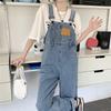 Vintage Denim Jumpsuit Damen Frühling Herbst Casual Loose Overalls Gerade Hosen Große Größe Hosenträger Jeans
