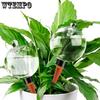 2pcs Large Plant Self Watering Globes Top Fill Plastic Water Bulbs Slow Release Terracotta Self Watering Planter Insert Plant Watering Devices System