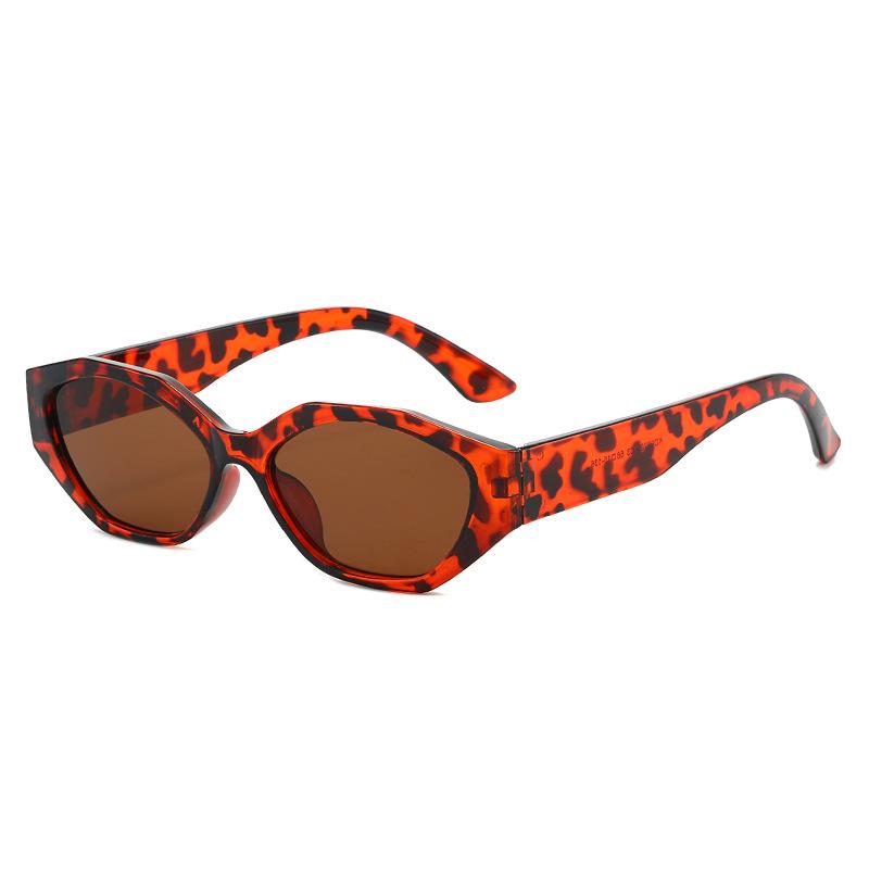 Cat's eye small frame polygonal irregular sunglasses personalized high-end sunglasses women's fashion retro sunglasses tide
