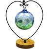 YY YEARCHY Ornament Stand Display Metal Stand Air Plant Stand Flower Pot Holder Iron Pothook Stand for Hanging Glass Globe Ball (Heart round wood
