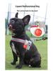 Adjustable Vest Dog Harness and Leash Set for Small to Medium Breeds - Corgi, Shiba Inu, French Bulldog