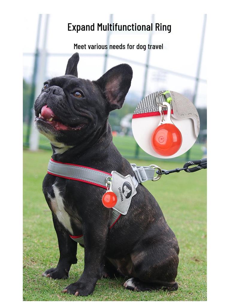 Adjustable Vest Dog Harness and Leash Set for Small to Medium Breeds - Corgi, Shiba Inu, French Bulldog