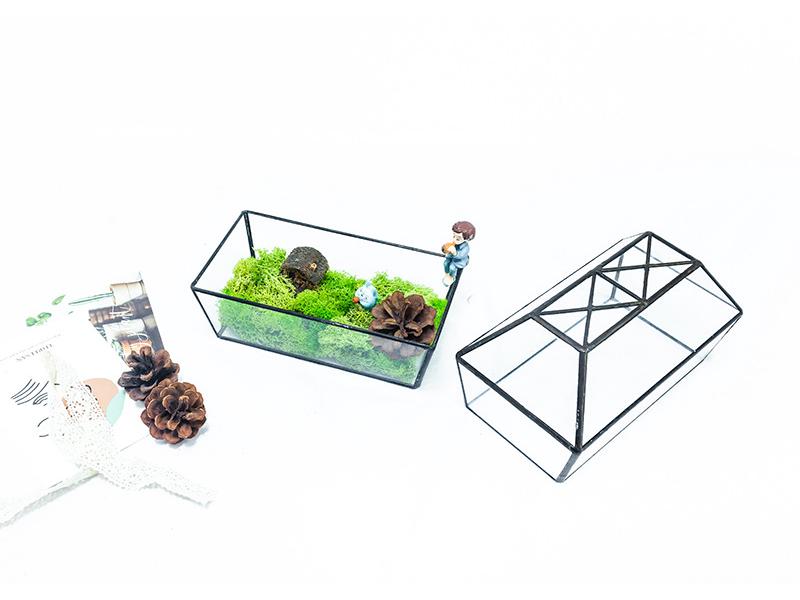 Geometric Glass Greenhouse: Preserved Flower & Moss Succulent Display for Home & Restaurant Decor