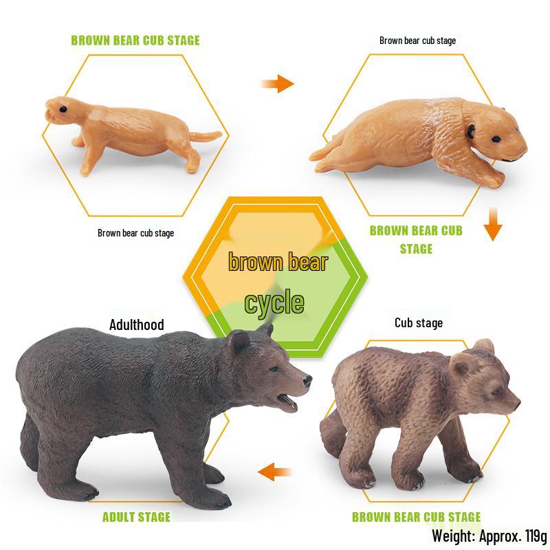 Animal Growth Cycle Models: Chicken, Duck, Goose, Butterfly, Turtle, Frog Montessori Teaching Figurines