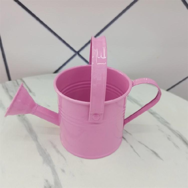 Brightly Colored Compact Watering Cans Galvanized Materials Heavy Duty Build Nonslip Grip For Terraces Plant Maintenance
