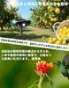 Mocasa Ultrasonic Animal Repellent for and Ultrasonic Pest Repellent with 10m Detection Solar PIR Infrared Waterproof and Long Standby Time 2-Piece
