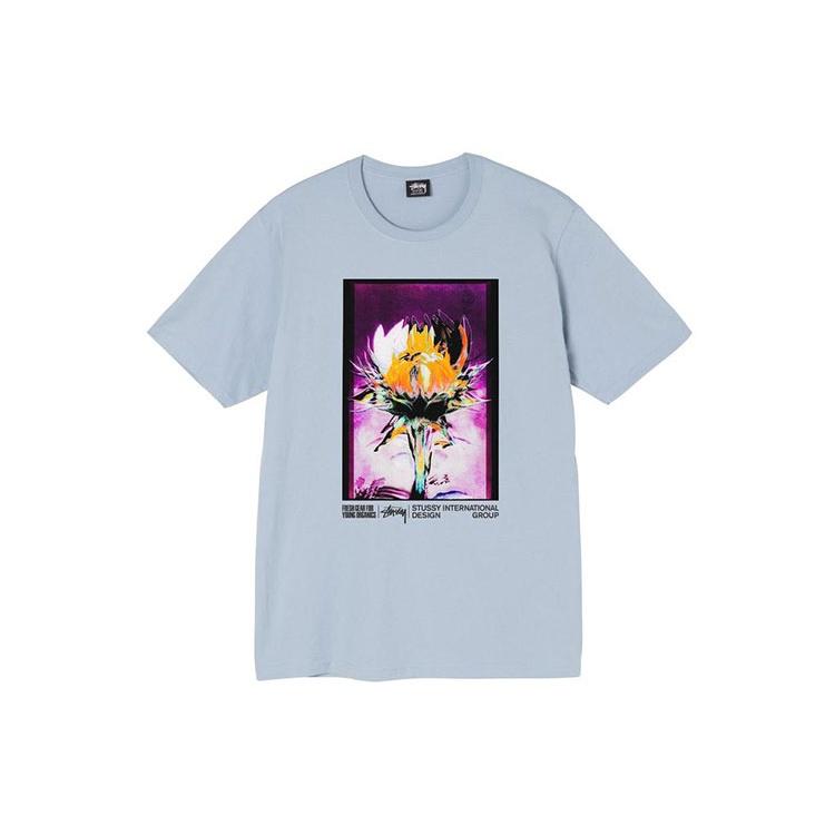 Stussy Young Organics Tee Unisex 1904720